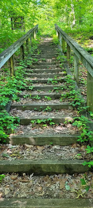 Lakeview Campground Picture 5