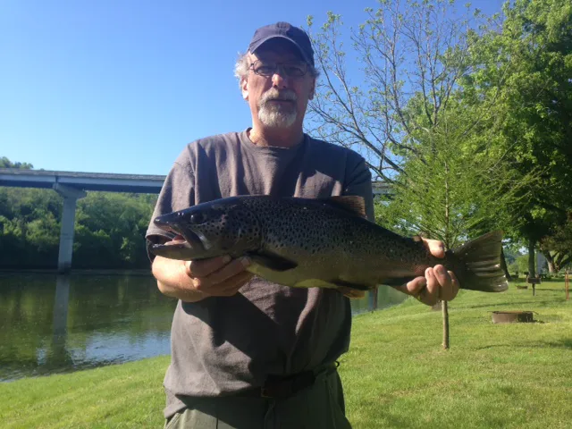 Blue Heron Campground and Resort Picture 8