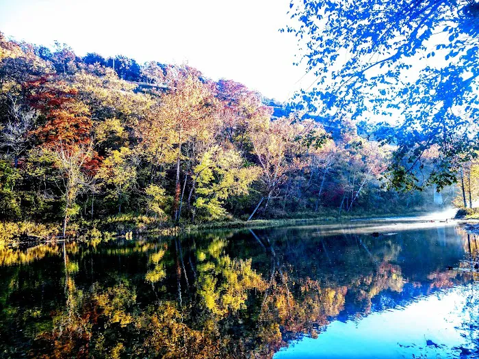Ho-Humm Canoe Rental & Campground Picture 8