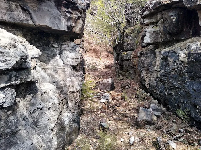 Rush Campground Picture 6