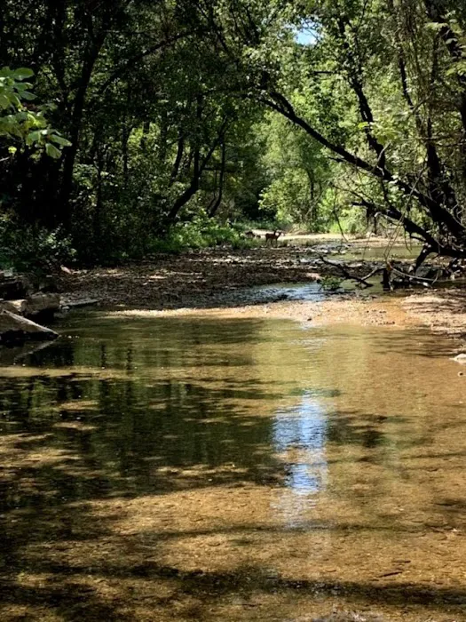 Rush Campground Picture 4