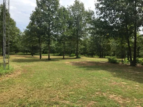 Eclipse-it-here campground Picture 4