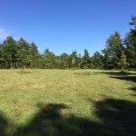 Eclipse-it-here campground