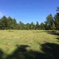 Eclipse-it-here campground ico