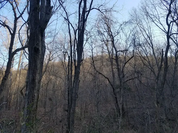 Spring Creek Campground Picture 5