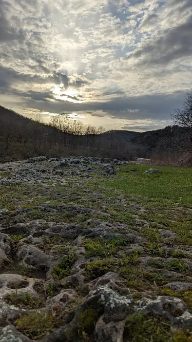 Buffalo Point Campground, Loop B Picture 1