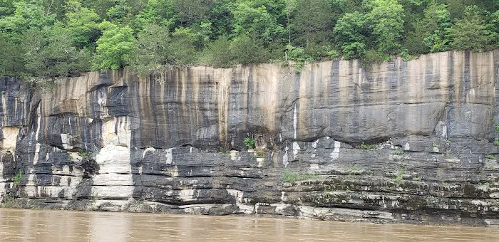 Buffalo Point Campground, Loop B Picture 2