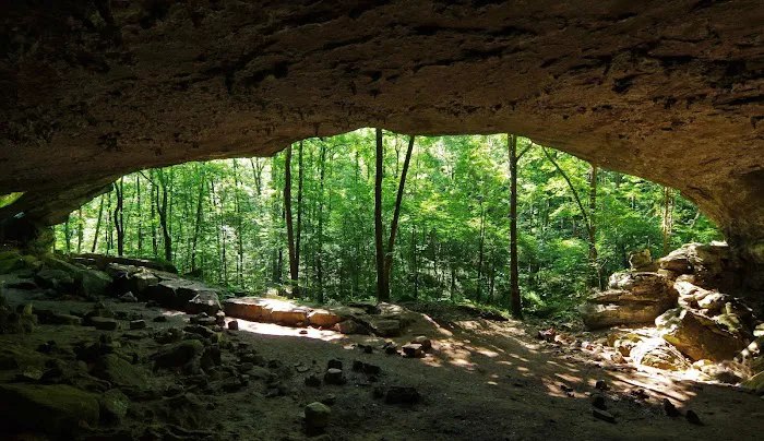 Buffalo Point Campground Picture 7