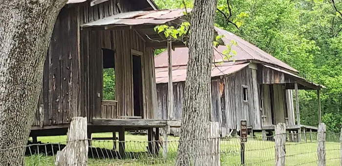 Buffalo Point Campground Picture 2