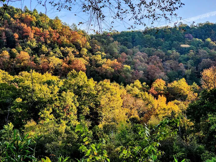 Buffalo Point Campground Picture 10