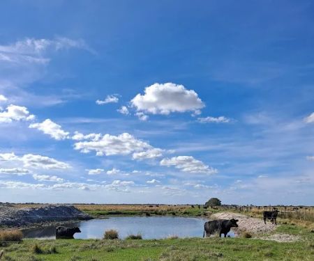 Kissimmee Prairie Preserve Family Campground