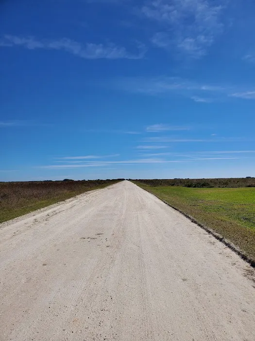 Kissimmee Prairie Preserve Family Campground Picture 8