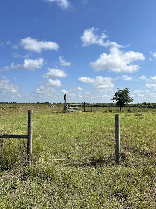 Kissimmee Prairie Preserve Family Campground Picture 7