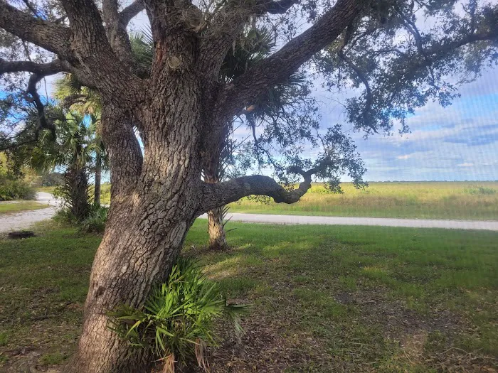 Kissimmee Prairie Preserve Family Campground Picture 5