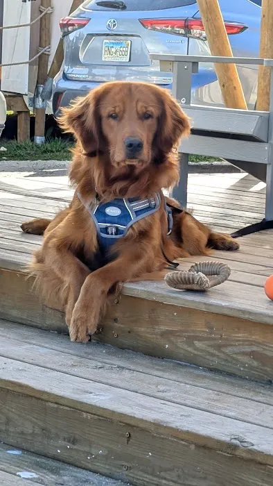 Timberline Glamping at Kissimmee Prairie Preserve State Park Picture 7