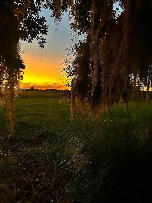 Timberline Glamping at Kissimmee Prairie Preserve State Park Picture 5