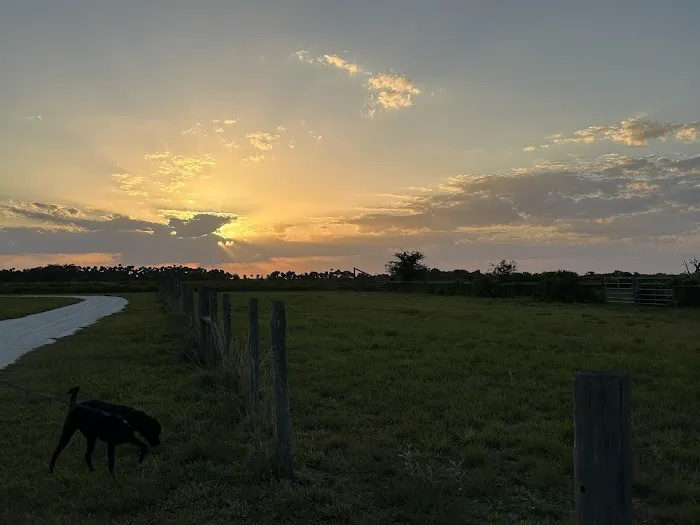 Timberline Glamping at Kissimmee Prairie Preserve State Park Picture 3