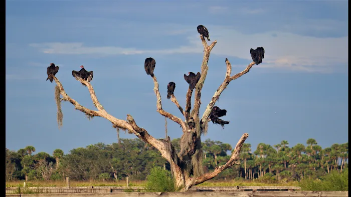 TCAS Camping Picture 10