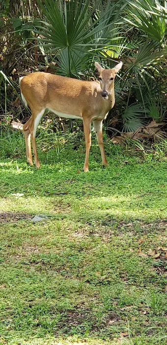 TCAS Camping Picture 4