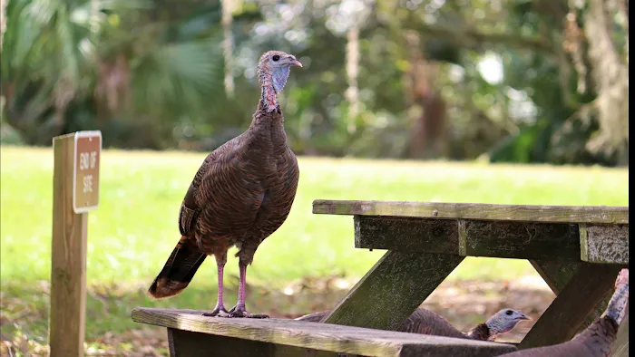 TCAS Camping Picture 9