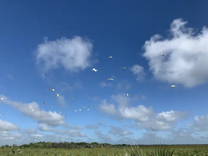 Primitive Campsite Picture 1