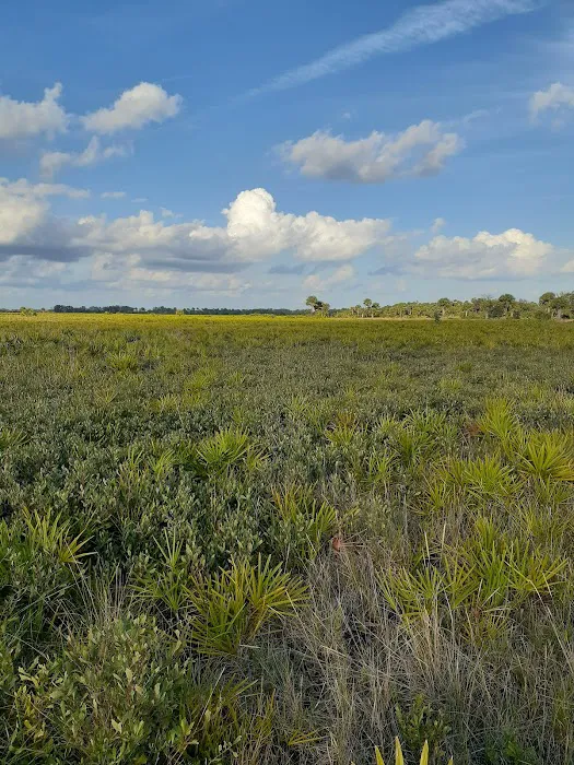 Primitive Campsite Picture 4