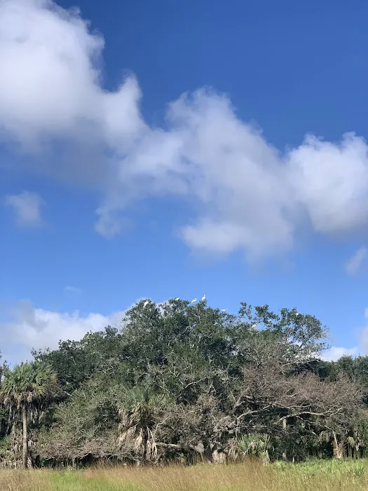 Primitive Campsite Picture 2