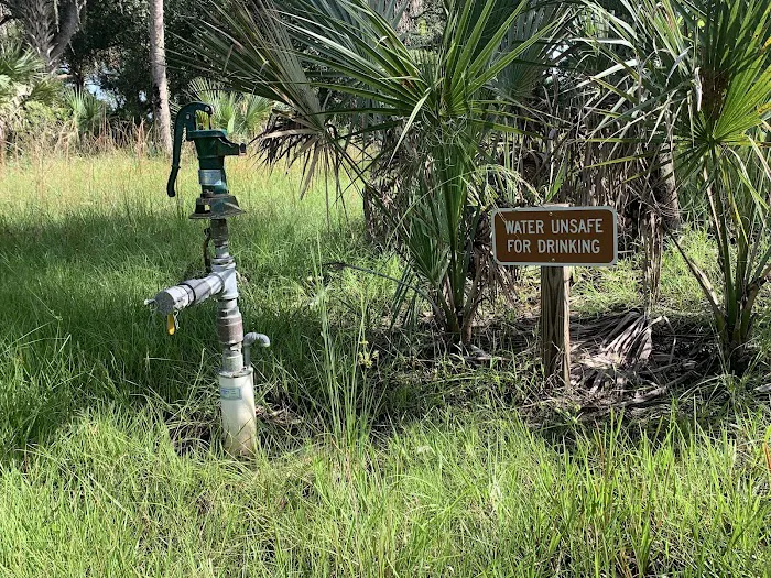 Primitive Campsite Picture 5