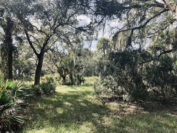 Primitive Campsite Picture 10