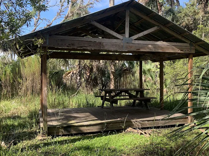 Primitive Campsite Picture 7