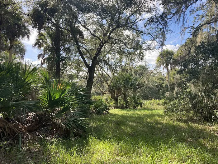 Primitive Campsite Picture 9