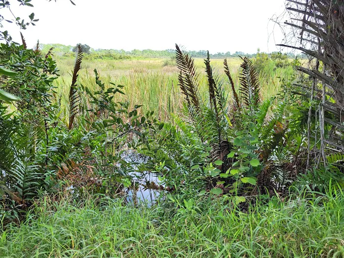 Allapattah Flats Campsite Picture 4