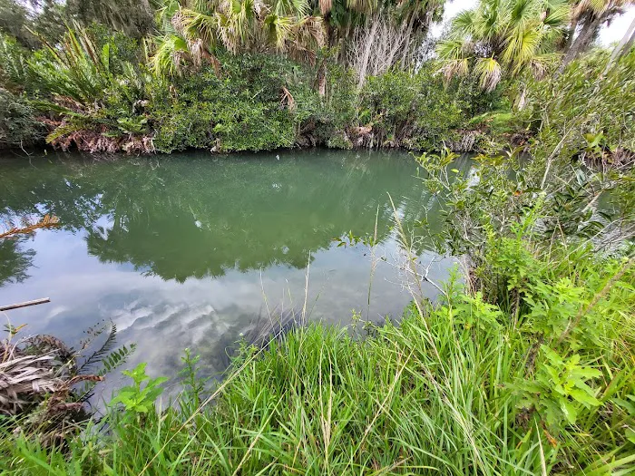 Allapattah Flats Campsite Picture 2