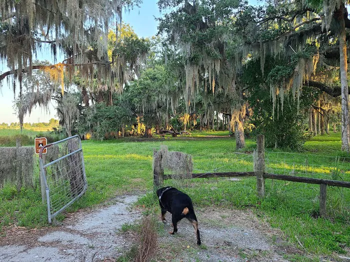 Allapattah Flats Campsite Picture 9