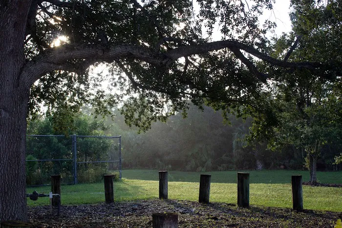 Phipps Park Campground Picture 8