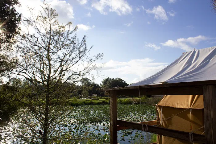 Phipps Park Campground Picture 10