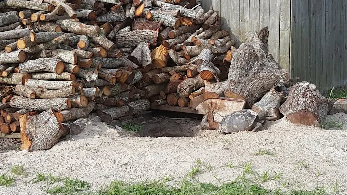 St. Lucie South Campground Picture 5