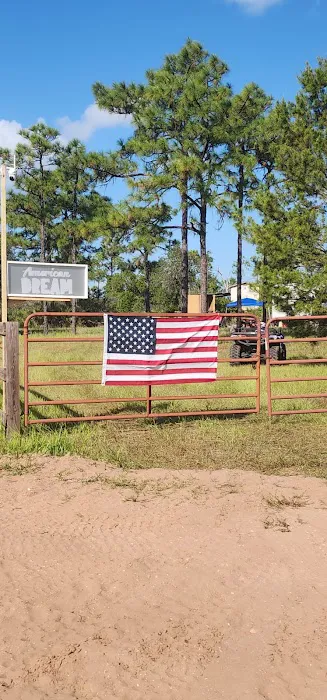 Camp American Dream Picture 1