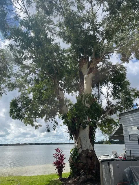 Lake Placid Campground Picture 2