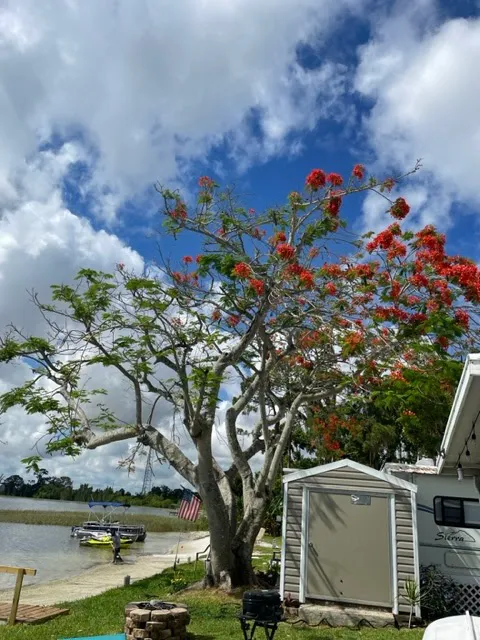 Lake Placid Campground Picture 3