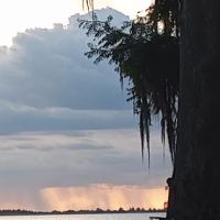 Mossy Cove Fish Camp ico