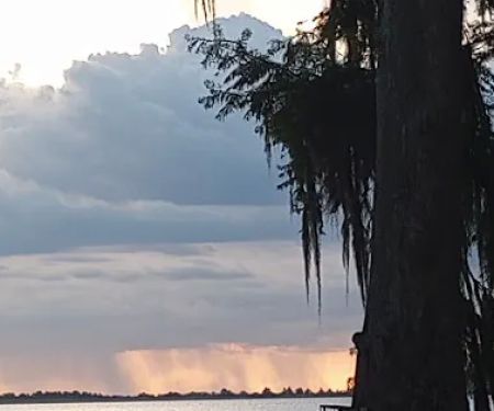 Mossy Cove Fish Camp