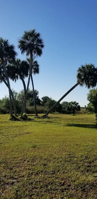 Hickory Hammock Equestrian Campground Picture 3