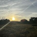 Hickory Hammock Equestrian Campground