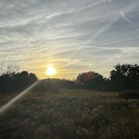 Hickory Hammock Equestrian Campground ico