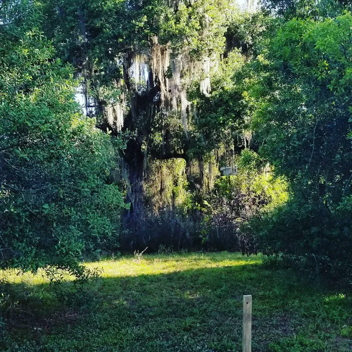 Hickory Hammock Equestrian Campground Picture 9