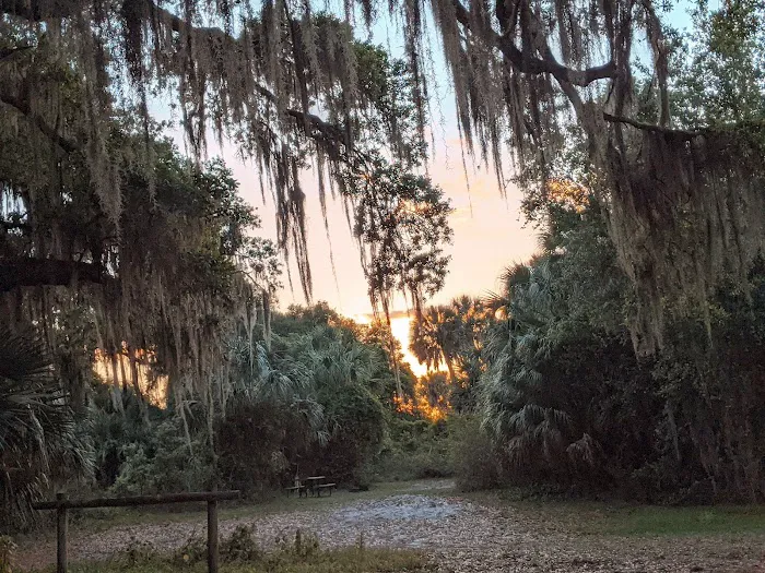Hickory Hammock Equestrian Campground Picture 7
