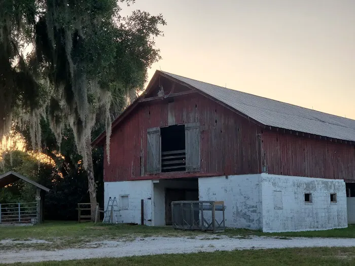 Hickory Hammock Equestrian Campground Picture 5