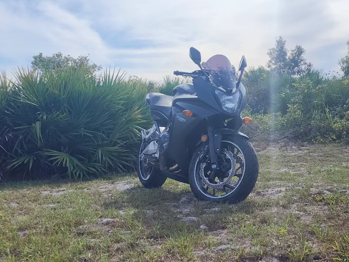 Hickory Hammock Equestrian Campground Picture 4