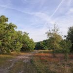 Starvation Slough Campsite